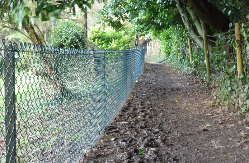 chainlink and stock fencing 01