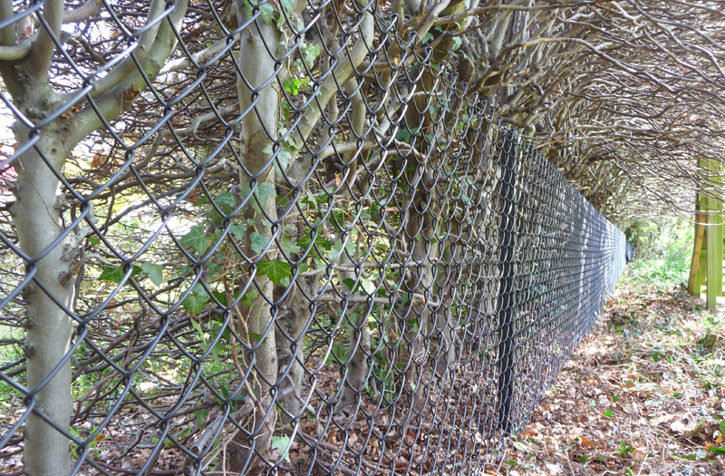 chainlink and stock fencing 03