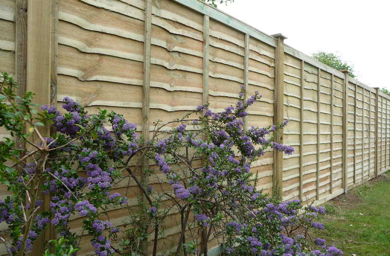 standard panel fencing 01
